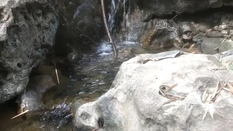 Clear Water Stream Flowing Through Natural Rocks 動画素材 335061581
