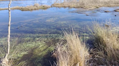 Clear water stream flowing through autumnal landscape Stock Footage 340326317