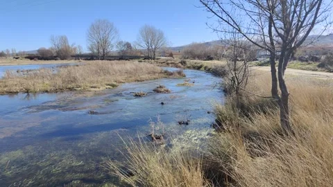 Clear water stream flowing through a dry meadow Vidéo 340326336