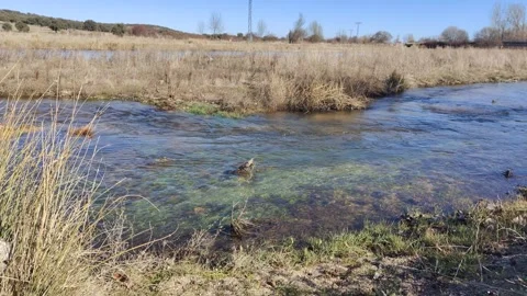 Clear water stream flowing through rural landscape Vídeo Stock 340326348