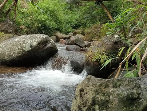 Clear Water Stream Flowing Through Natural Rocks in Tropical Forest Stock Photos
