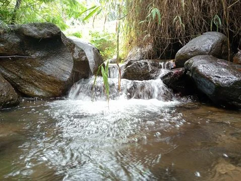 Clear Water Stream Flowing Through Forest Rocks – Relaxing Scene Stock Photos