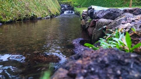 Clear water stream flowing through mossy stone banks Stock Photos