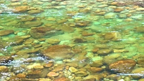 Clear Water Stream Stock Footage 262806448