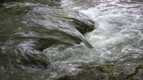 Clear water stream loop Stock Footage 78733769