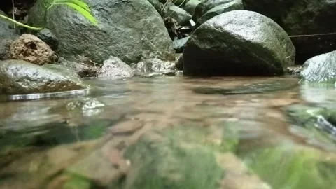 Clear Water Stream Over Mossy Rocks in Tropical Jungle Close Up Stock Footage 331863854
