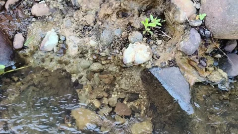 Clear water stream over pebbles and rocks outdoors 스톡 동영상 346983654