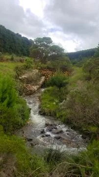 Clear water stream Stock Photos