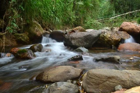 Clear water stream Stock Photos