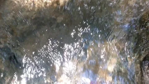 Clear Water Stream in a River Stock Footage 331107188