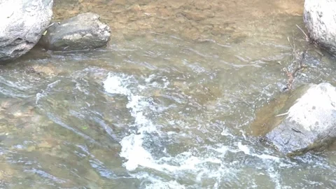 Clear water stream rushing over rocks. Stock Footage 341263575