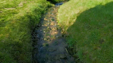 Clear water stream with sunshine sparkling Video stock 238832079
