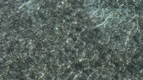 Clear water surface revealing the seabed Stock Footage 335998524