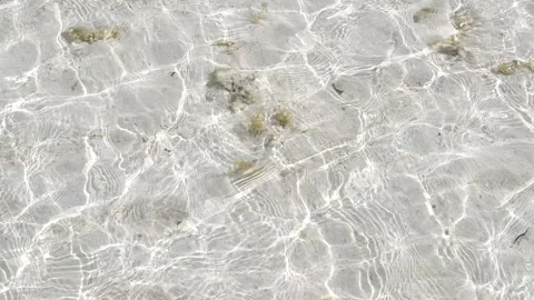 Clear water surface rippling over sandy seabed Stock Footage 333565070
