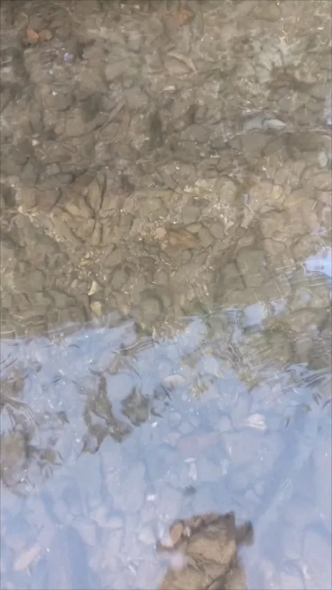 Clear Water Surface with Rocky Riverbed Texture Stock Footage 338362115