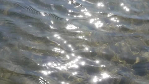 Clear Water Surface with Sunlight Reflection and Underwater Aquatic Plants Stock Footage 331905302