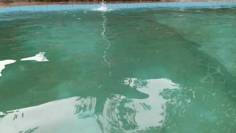 Clear water in the swimming pool Video stock 291009201