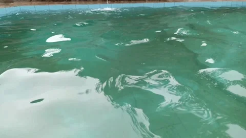 Clear water in the swimming pool Stock Footage 291010027