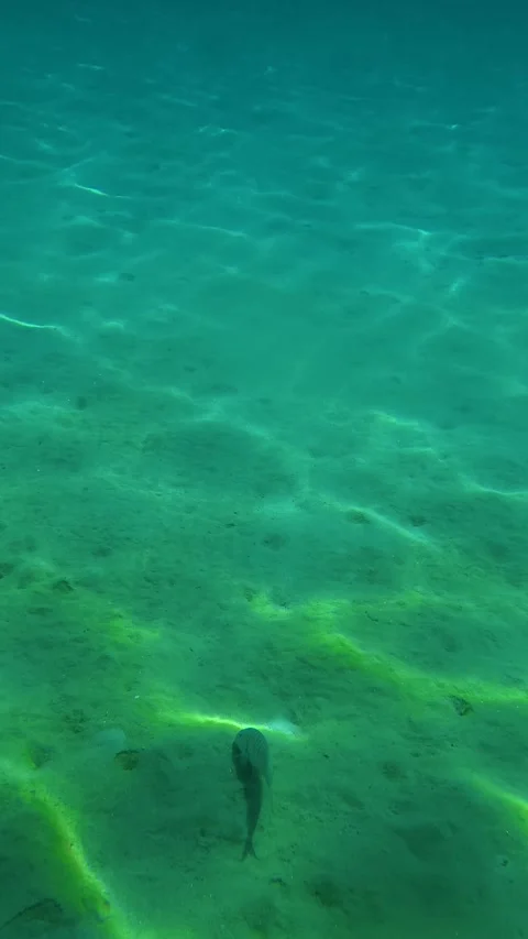 Clear water swirls with sunlight patterns. Trani Ammouda, Greece. Vertical Stock Footage 338358118