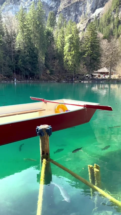 Clear water view in Blausee / Blue Lake - Bernese Oberland, Switzerland. Vidéo 271626376
