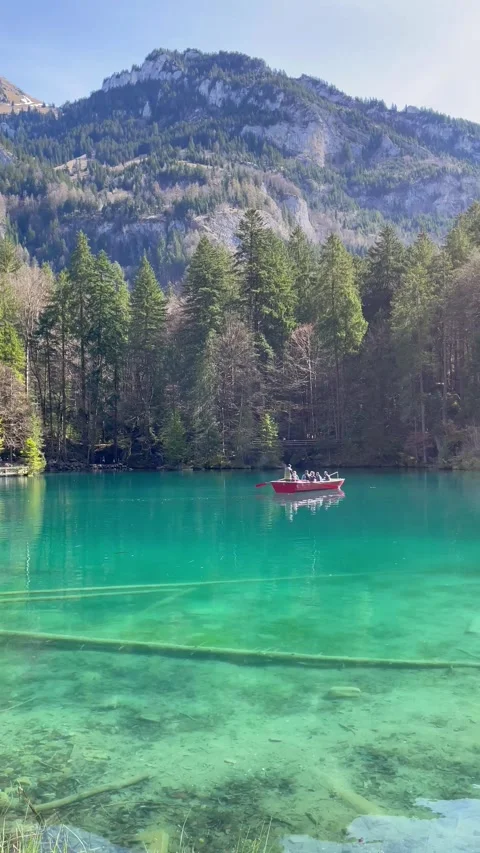 Clear water view in Blausee / Blue Lake - Bernese Oberland, Switzerland. Vidéo 274778423