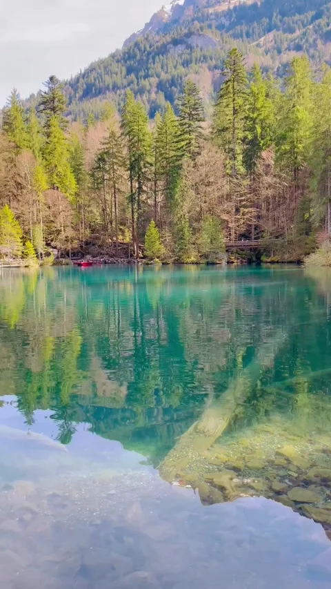 Clear water view in Blausee / Blue Lake - Bernese Oberland, Switzerland. 動画素材 274778424