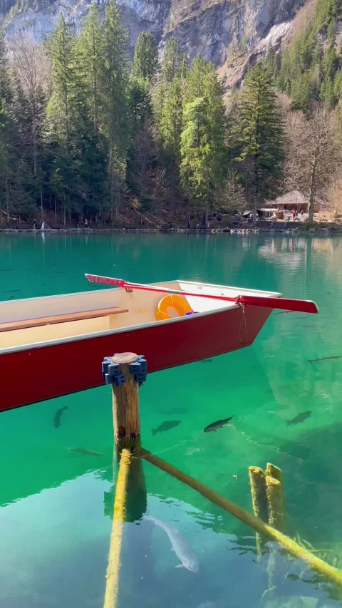 Clear water view in Blausee / Blue Lake - Bernese Oberland, Switzerland. 動画素材 274778430