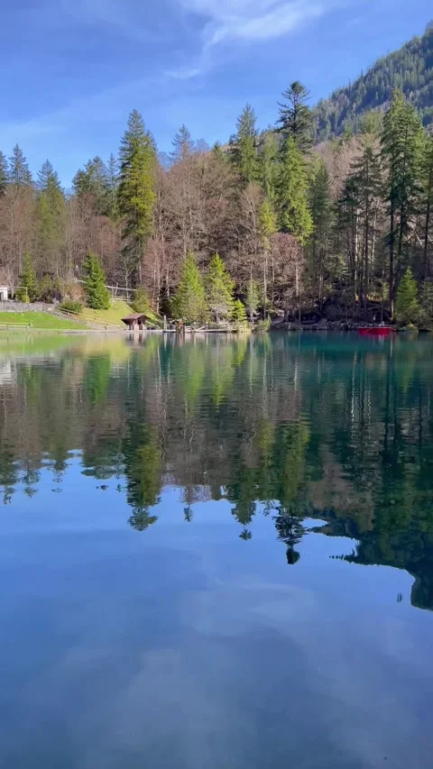Clear water view in Blausee / Blue Lake - Bernese Oberland, Switzerland. 動画素材 274778458