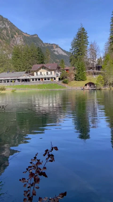 Clear water view in Blausee / Blue Lake - Bernese Oberland, Switzerland. 動画素材 274778463