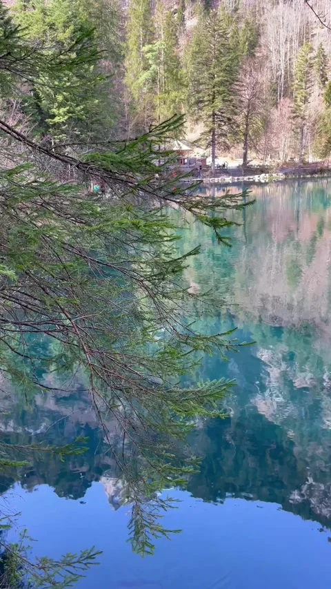 Clear water view in Blausee / Blue Lake - Bernese Oberland, Switzerland. 動画素材 274778476