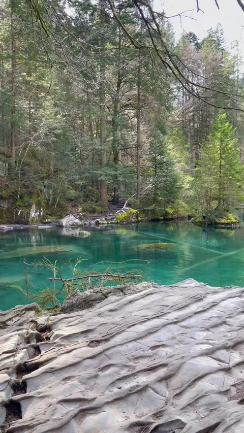 Clear water view in Blausee / Blue Lake - Bernese Oberland, Switzerland. 動画素材 274778486