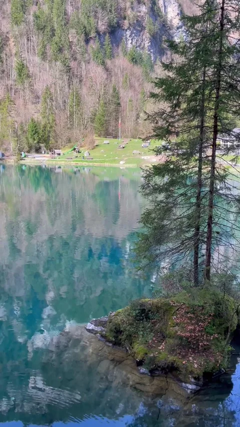 Clear water view in Blausee / Blue Lake - Bernese Oberland, Switzerland. 動画素材 274778499
