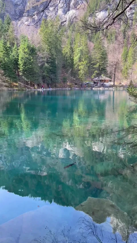 Clear water view in Blausee / Blue Lake - Bernese Oberland, Switzerland. 動画素材 274778507