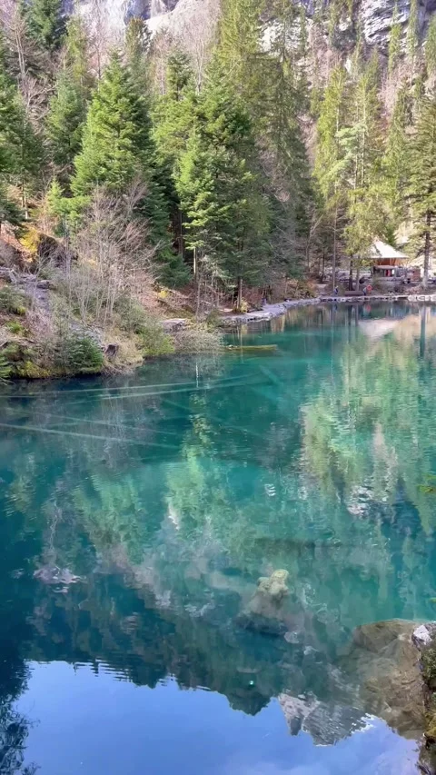 Clear water view in Blausee / Blue Lake - Bernese Oberland, Switzerland. 動画素材 274778508