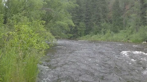 Clear water washes down a mountain river. Stock Footage 93539350