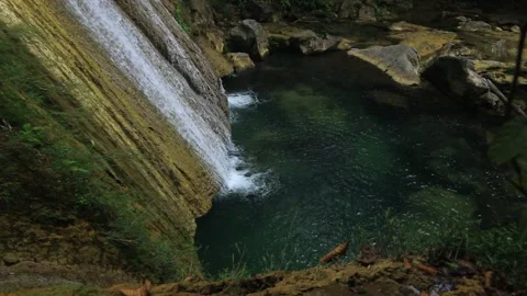 Clear Water Waterfall Flowing Down Through the Green Forest Stock Footage 344727186
