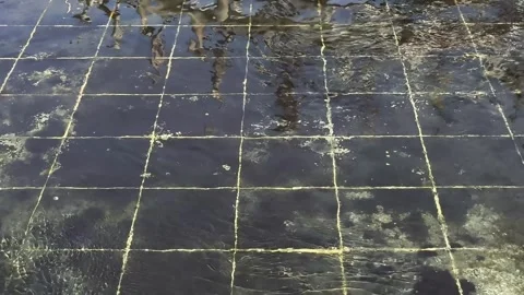 Clear water waves flowing in a mossy tiled pool Stock Footage 324880145