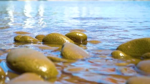 Clear water waves flowing over smooth river stones on a sunny summer day Video stock 342220242