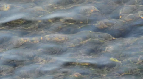 Clear Water Waves Vídeo Stock 42125139