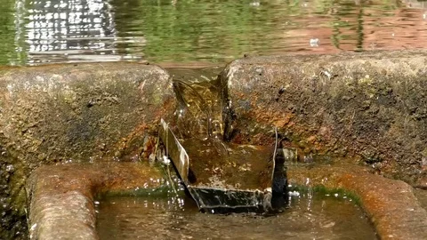 Clear water from a well running from one stone tub into another, flies nearby Video stock 76801996