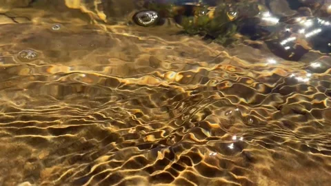 Clear Water of Willow Spring Lake in Payson Stock Footage 326179010
