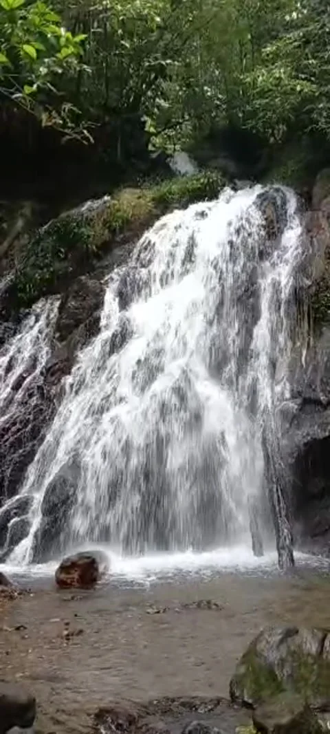 CLEAR WATERFALL 스톡 동영상 243696764