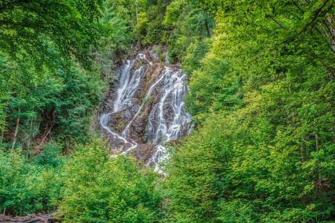 A clear waterfall in the wild Stock Photos