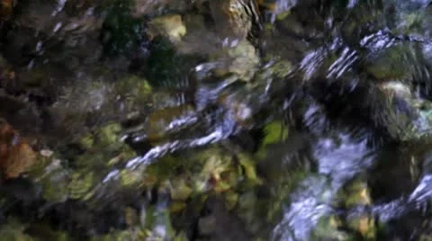 Clear water.mp4 Stock Footage 8849905