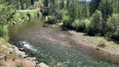 Clear waters of the Lostine river flowing through Oregon, USA (4k) Stock Footage 138046453