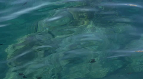 Clear waters of the Mediterranean Stock Footage 42192031
