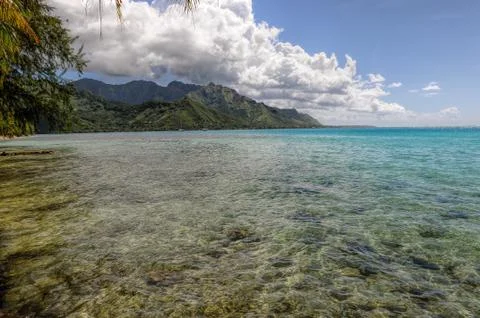 Clear waters in moorea.french polynesia 스톡 사진