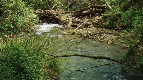 The clear waters of the stream flow between stones and waterfalls Stock Footage 153750325