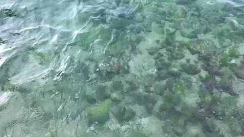Clear waves with beach base as background Stock Footage 295579617