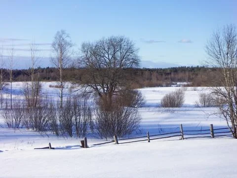 Clear winter day Stock Photos